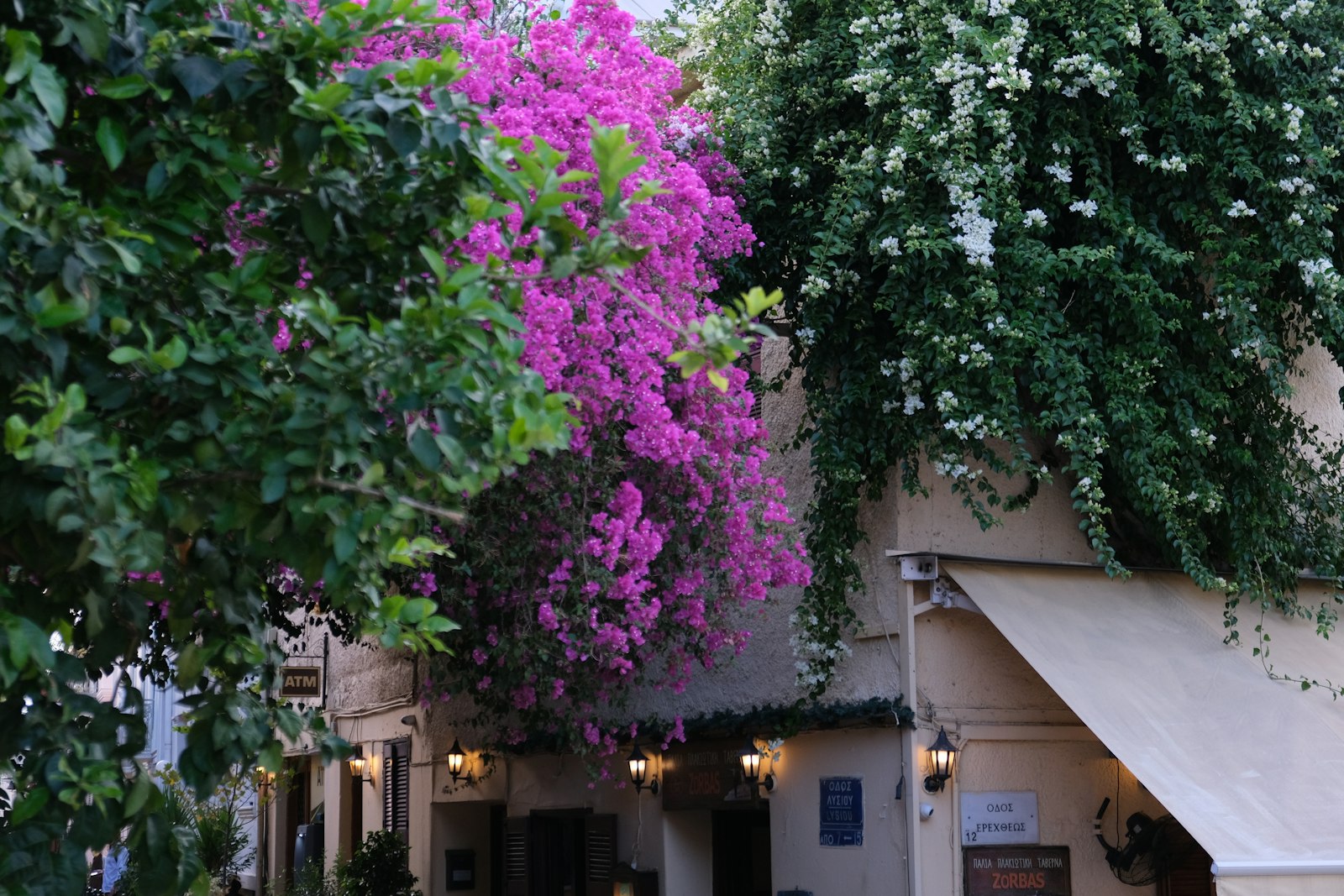Ενότητα Πολλαπλών καταλυμάτων για ξενοδοχειακούς ομίλους